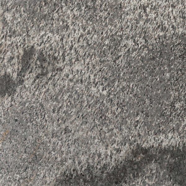 Stone Veneer - Quartzite - Casadenza - CST-08 Silver Spark