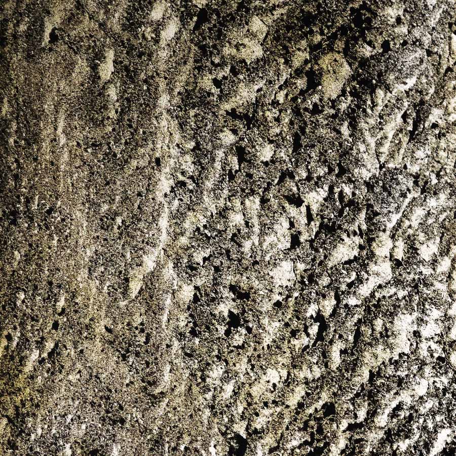 Stone Veneer - Quartzite - Casadenza - CST-12 Gold Leaf Lumina Cool