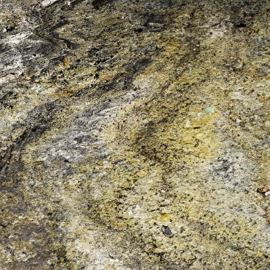 Stone Veneer - Quartzite - Casadenza - CST-22 Burning Forest Lumina Cool