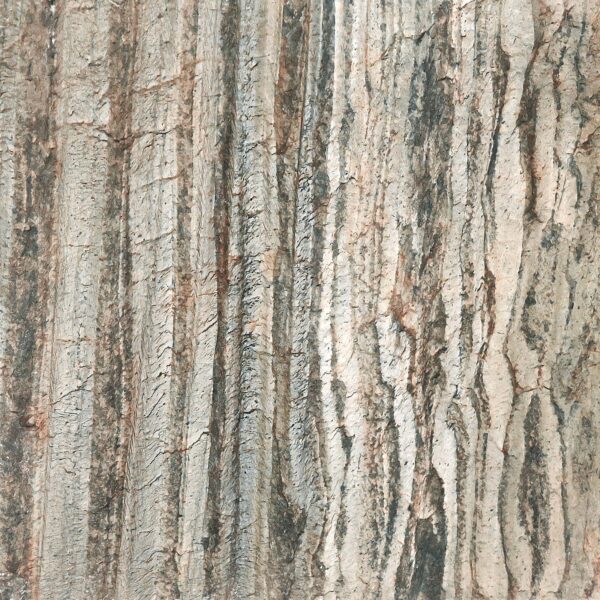 Stone Veneer - Quartzite - Casadenza - CST-30 Green Forest