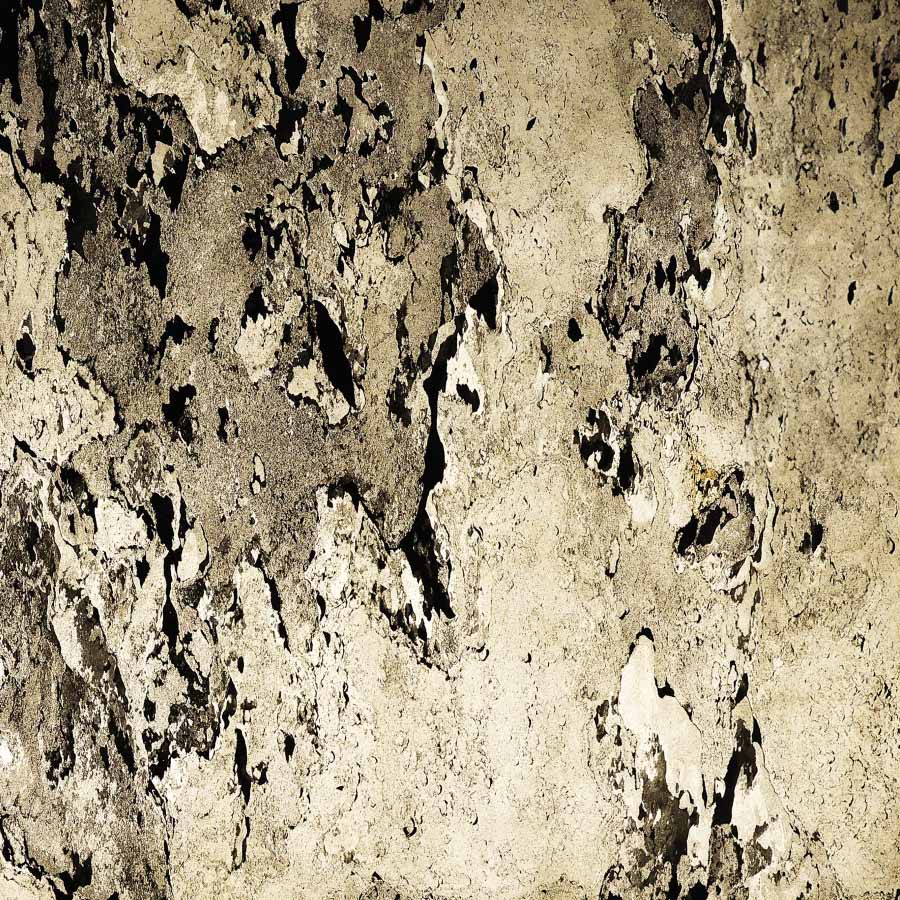 Stone Veneer - Slate - Casadenza - CST-15 Steel Grey Lumina Cool