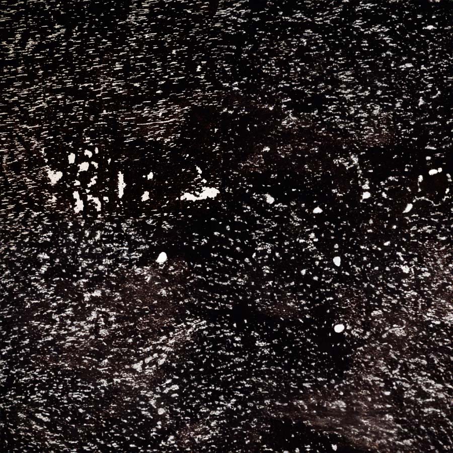 Stone Veneer - Slate - Casadenza - CST-20 Black Lumina Cool